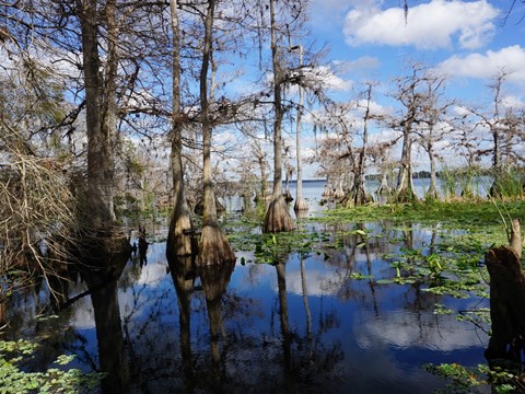 Lake Norris Conservation Area