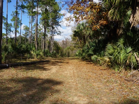 Lake Norris Conservation Area