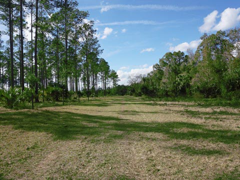 Lake Norris Conservation Area