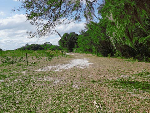 Lake Norris Conservation Area