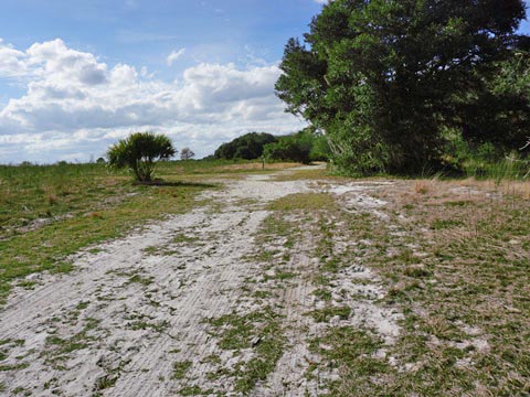 Lake Norris Conservation Area