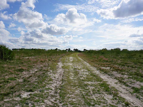 Lake Norris Conservation Area