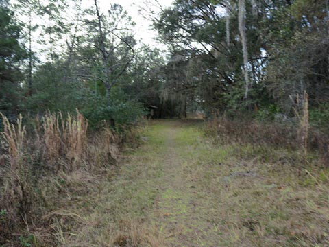 Lake Norris Conservation Area