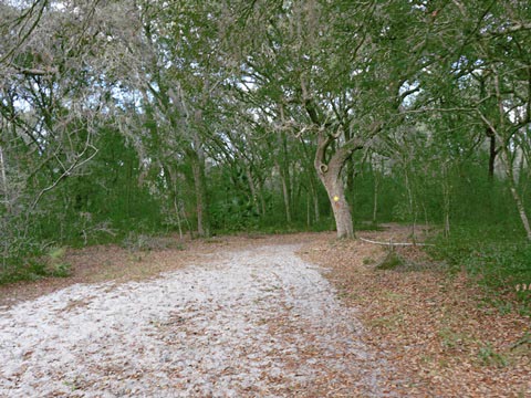 Lake Norris Conservation Area