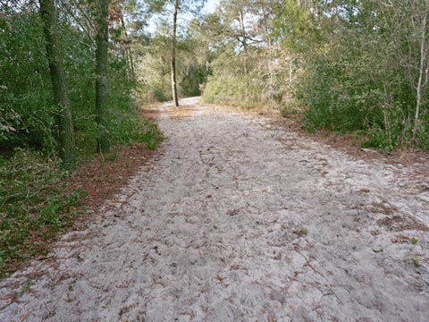 Lake Norris Conservation Area