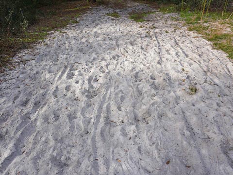 Lake Norris Conservation Area