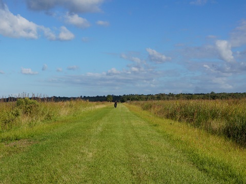 Lake Wooddruff