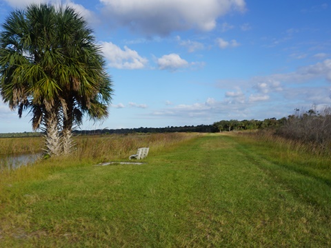 Lake Wooddruff