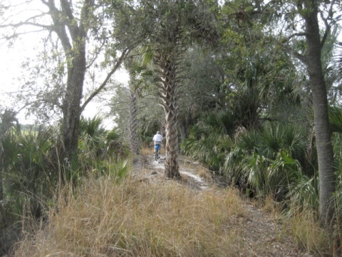 biking Lake Woodruff