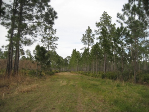 biking Lake Woodruff