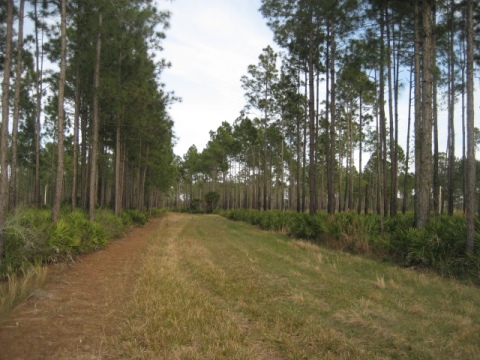 biking Lake Woodruff