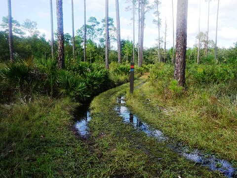 biking Lake Woodruff