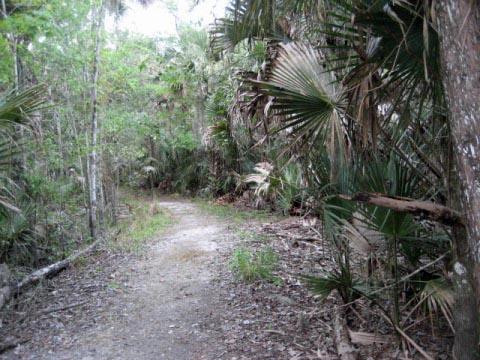 biking Lake Woodruff