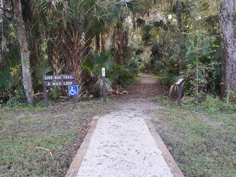 biking Lake Woodruff