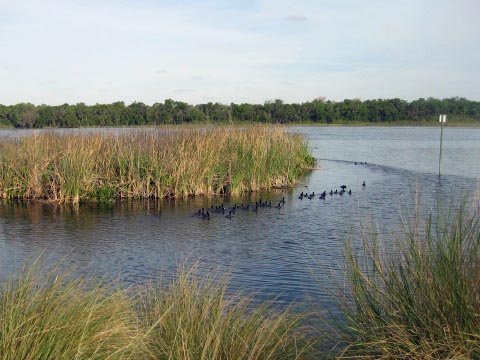 biking Lake Woodruff