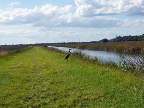 biking Lake Woodruff