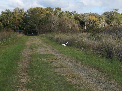 biking Lake Woodruff