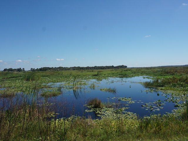 Lakeside Ranch Stormwater Treatment Area, Florida eco-biking, Lake Okeechobee