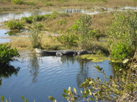 Lakeside Ranch Stormwater Treatment Area, Florida eco-biking, Lake Okeechobee