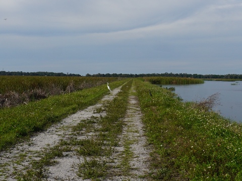 Lakeside Ranch Stormwater Treatment Area, Florida eco-biking, Lake Okeechobee