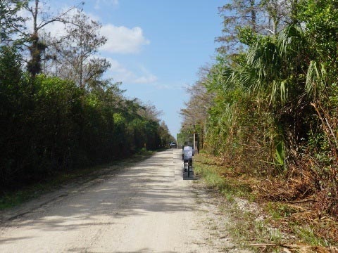 Everglades eco-biking