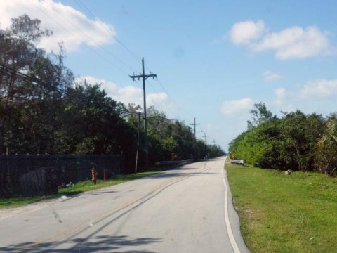 Everglades, Loop Road