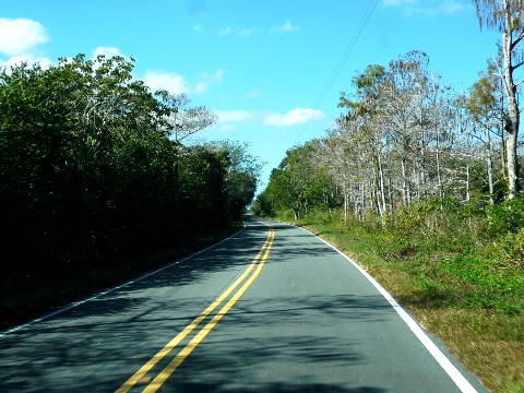 Everglades, Loop Road