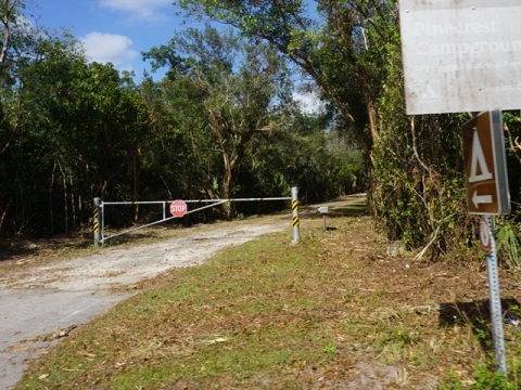 Everglades, Loop Road