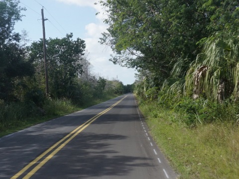 Everglades, Loop Road