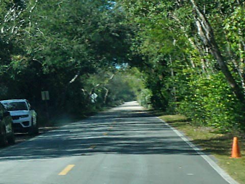 Everglades, Loop Road