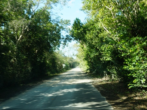 Everglades, Loop Road