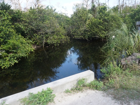 Everglades, Loop Road