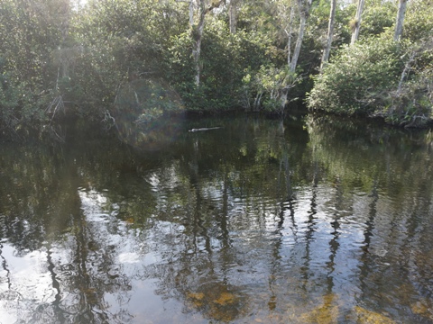 Everglades, Old Loop Road