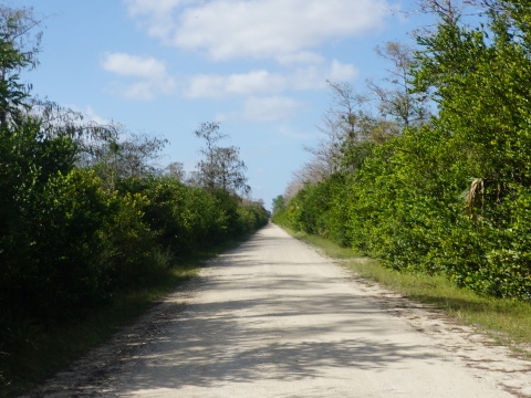 Everglades, Loop Road