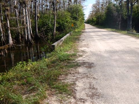 Everglades, Loop Road