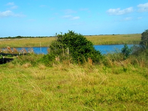 Everglades, Loop Road