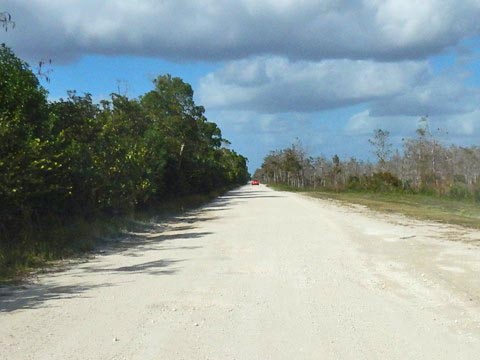 Everglades, Old Loop Road