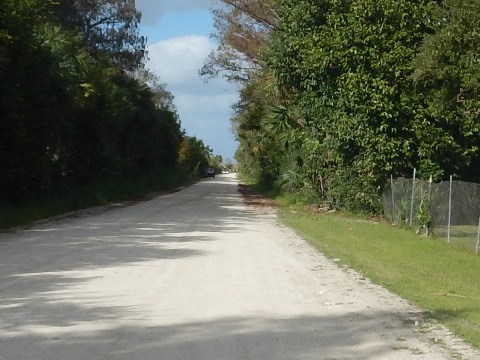 Everglades, Loop Road