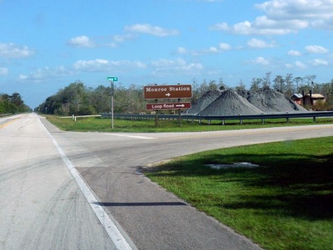 Everglades, Loop Road