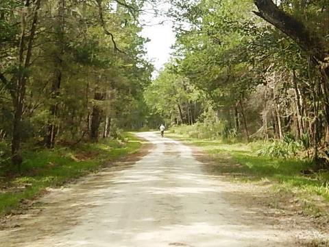 Lower Suwannee NWR