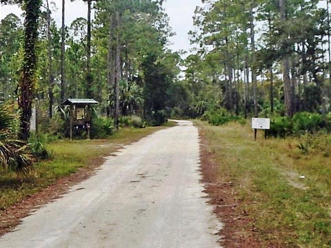 Florida Bike Trails, Nature Trail, Lower Suwannee NWR