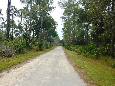 Florida Bike Trails, Nature Trail, Lower Suwannee NWR