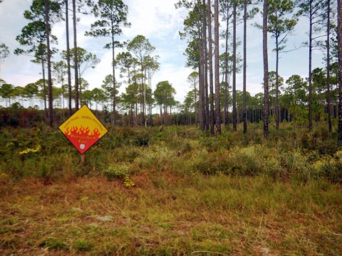 Florida Bike Trails, Nature Trail, Lower Suwannee NWR