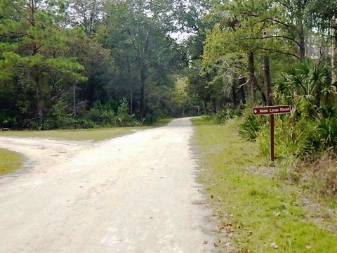 Florida Bike Trails, Nature Trail, Lower Suwannee NWR