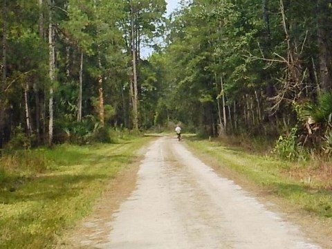 Florida Bike Trails, Nature Trail, Lower Suwannee NWR