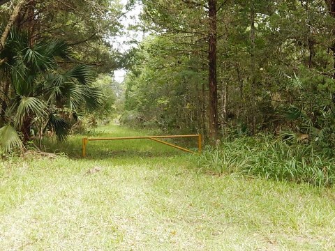 Florida Bike Trails, Nature Trail, Lower Suwannee NWR