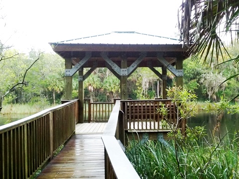 Florida Bike Trails, Nature Trail, Lower Suwannee NWR