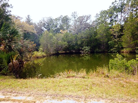 Florida Bike Trails, Nature Trail, Lower Suwannee NWR