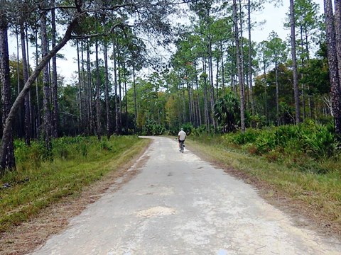 Florida Bike Trails, Nature Trail, Lower Suwannee NWR