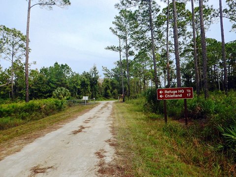 Florida Bike Trails, Nature Trail, Lower Suwannee NWR